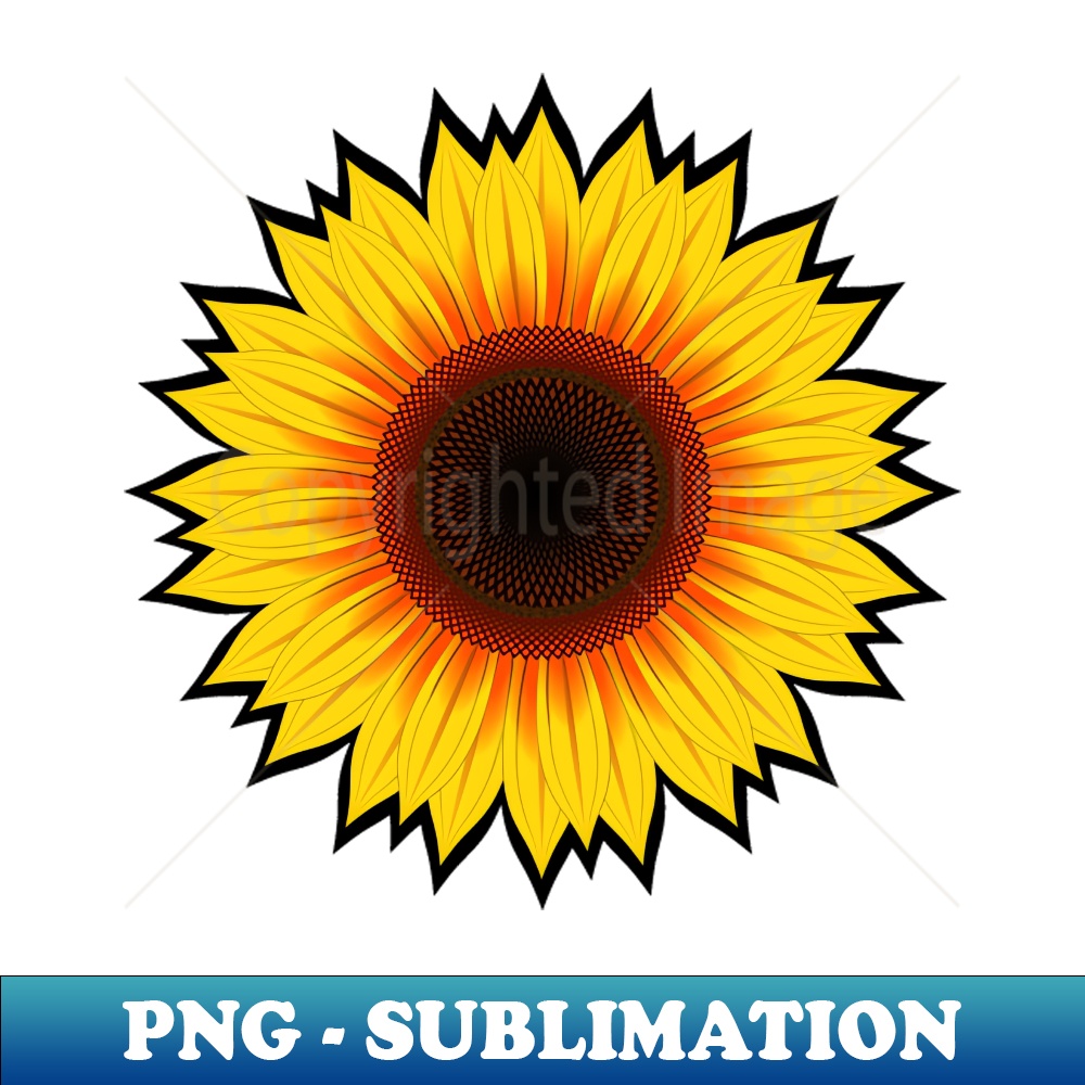 WP-20231107-8798_Sunflower Blooming Black Border 6384.jpg