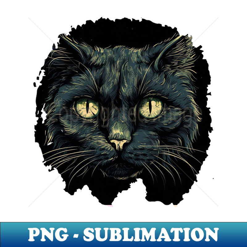 XH-20231107-835_Black cat 2285.jpg