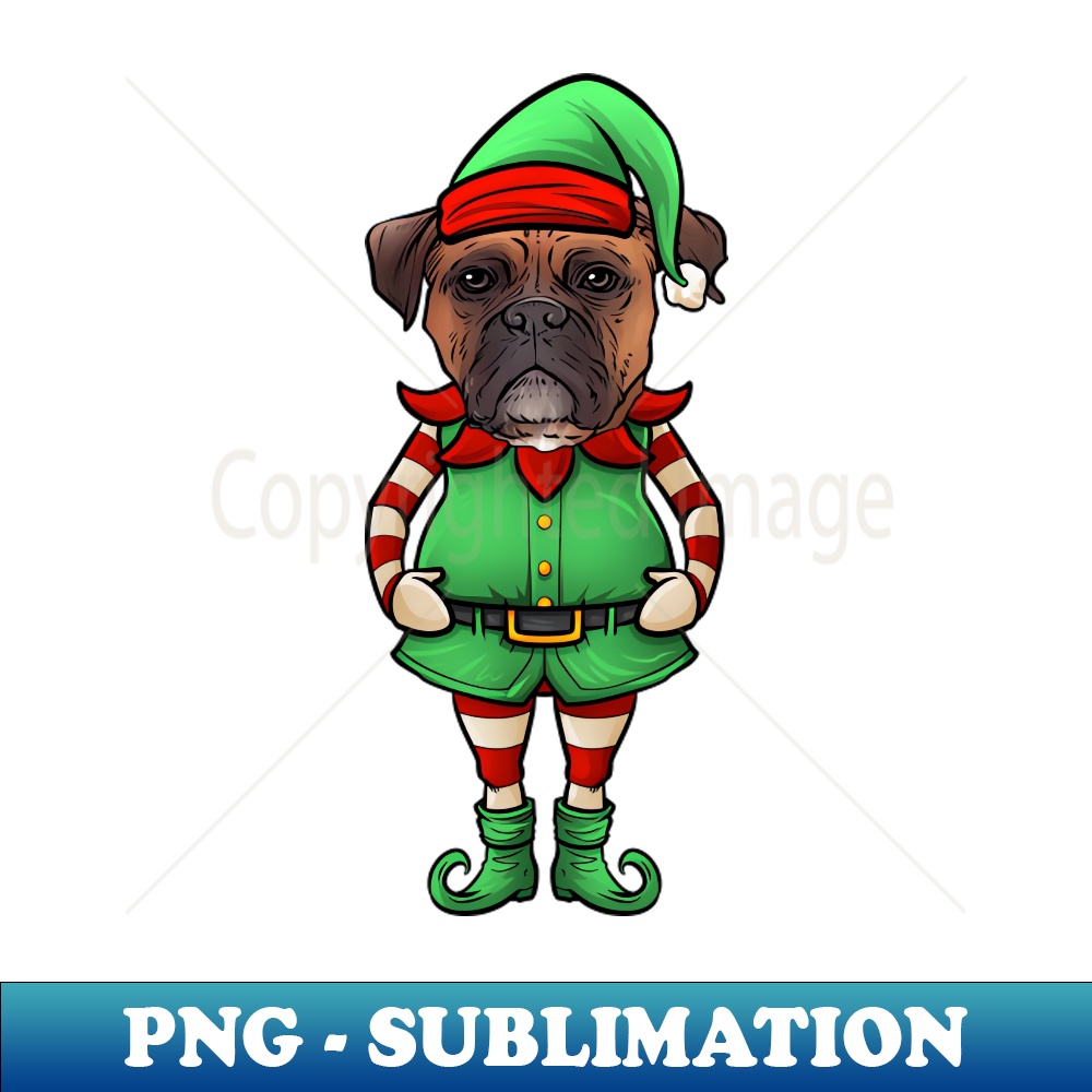 XK-20231107-967_Boxer Christmas Elf 4535.jpg