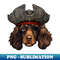 XQ-20231107-2498_Funny Pirate Boykin Spaniel Dog 5428.jpg
