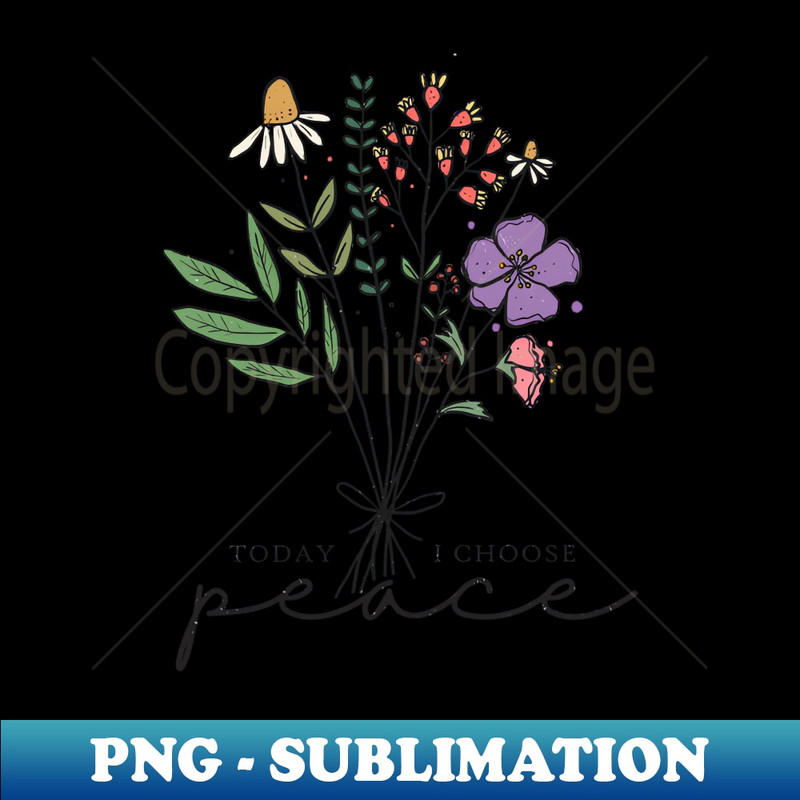 YF-20231107-10560_Today I Choose Peace 8507.jpg