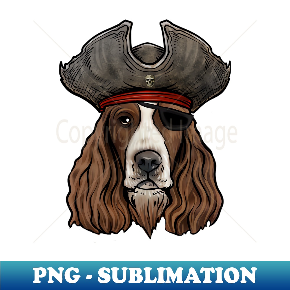 ZH-20231107-2084_English Springer Spaniel Pirate 7267.jpg