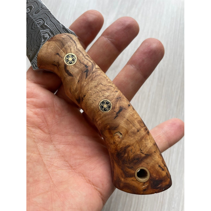 il794xN5206943835k2lljpg