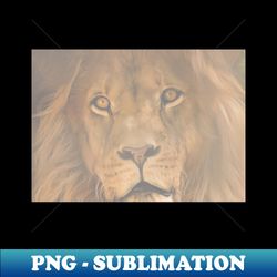 Lion face portrait photography - Special Edition Sublimation PNG File - Transform Your Sublimation Creations