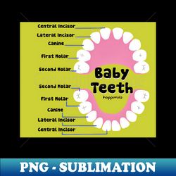 Baby Teeth names illustration - for Dentists Hygienists Dental Assistants Dental Students and anyone who loves teeth by Happimola - Unique Sublimation PNG Download - Enhance Your Apparel with Stunning Detail