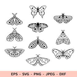 Moth Svg Butterfly Svg Outline Moth File for Cricut Selectial Dxf Insect Laser Png Set Bundle