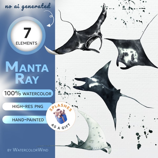 Manta Ray Watercolor Clipart Hand Painted Illustrations | Inspire Uplift