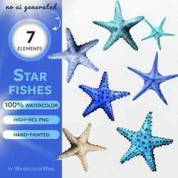 starfish watercolor clipart hand-painted illustrations starfishes