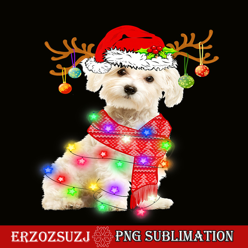 CRS20102337-Funny Maltese Santa Hat PNG, Xmas Lights PNG, Gift Dog Lover PNG.png