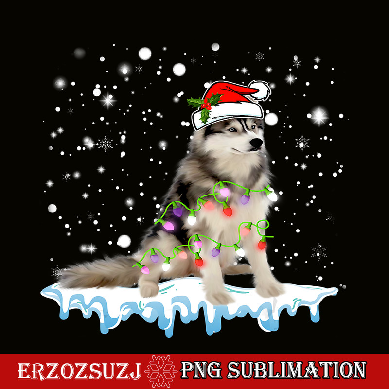 CRS20102354-Funny Siberian Husky Santa Hat PNG, Xmas Lights PNG, Gift Dog Lover PNG.png