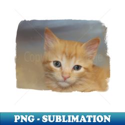 Orange Tabby Baby Cat 01 - Retro PNG Sublimation Digital Download - Instantly Transform Your Sublimation Projects