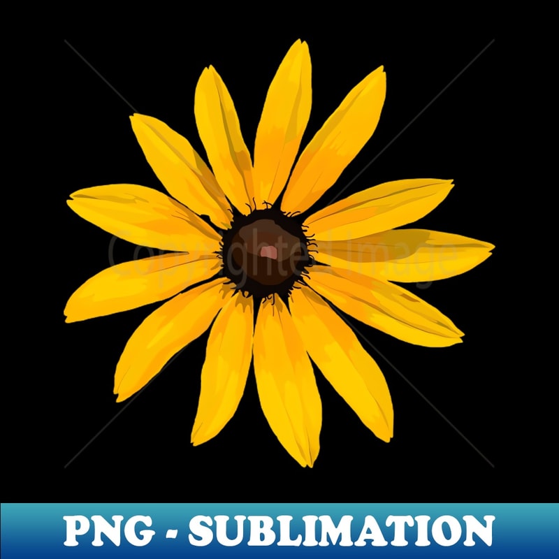 XE-20231108-3112_Black-Eyed Susan Green 5506.jpg