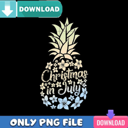 christmas in july colorful pineapple png best files design