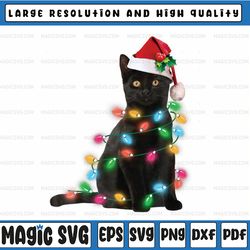 Christmas Black Cat With Santa Hat Lights For Cat Lover Xmas Png, Merry Christmas Cat Sublimation Design, Black Cat PNG,