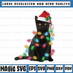 christmas black cat with santa hat lights for cat lover xmas png, merry christmas cat sublimation design, black cat png,