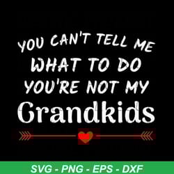 you can not tell me what to do you are not my grandkids svg, trending svg, grandkids svg, grandparents svg, not my grand
