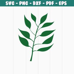 tropical leaves png bundle, tropical leaf png, palm leaves png, palm branch png, jungle leaves png, monstera png, tropic