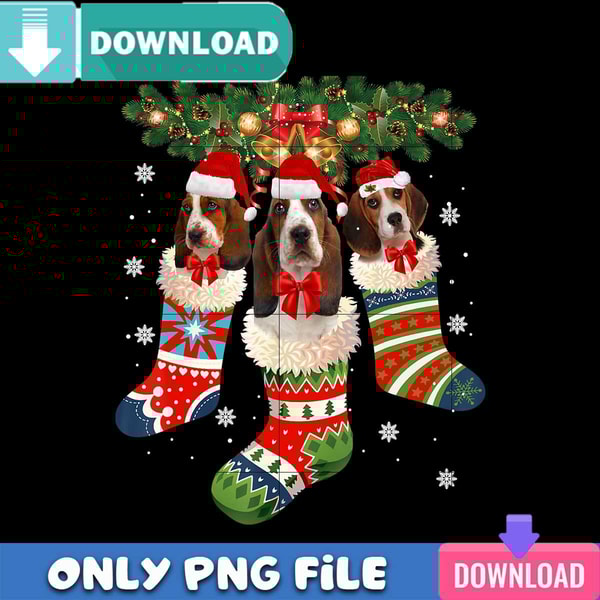 Three Basset Hound In Sock Christmas PNG Best Files Design.jpg