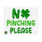 101120239308-no-pinching-please-svg-st-patricks-day-svg-irish-svg-image-1.jpg