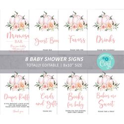 Pumpkin Baby Shower Sign Pack, 100 Editable, Custom Package Bundle, Printable Baby Sprinkle Tea Sign 8x10, Birthday Set,