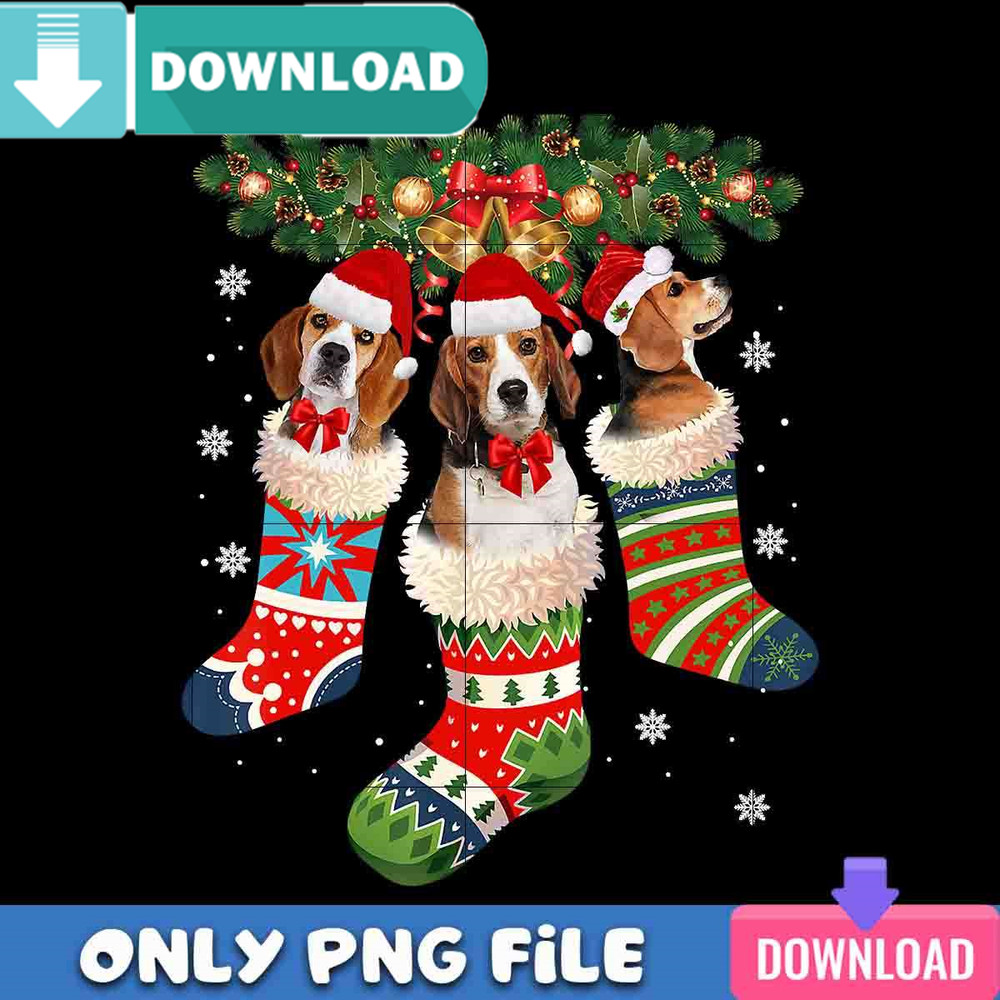 Beagle Christmas In Sock PNG Perfect Sublimation Design Download.jpg