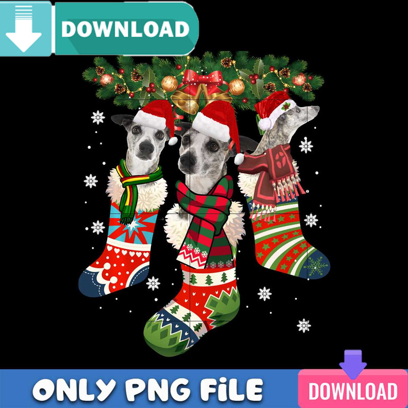Three Whippet In Sock Christmas PNG Perfect Files Design.jpg