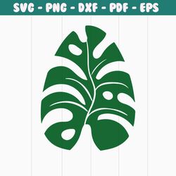 tropical leaf png, palm leaves png, palm branch png, jungle leaves png, tropical palm leaves svg