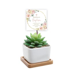 faith plants the seed love makes it grow baptism tag, editable, blush pink floral thank you, diy printable favour tags,