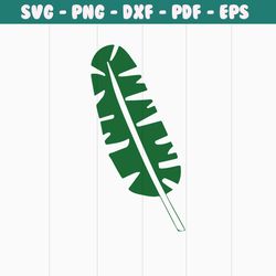 tropical leaf png, palm leaves png, palm branch png, jungle leaves png,tropical leaves png, monstera leaf svg clipart, c