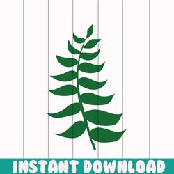 tropical palm leaves png, tropical leaf png, palm leaves png, palm branch png, jungle leaves png,