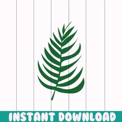 tropical leaf png, palm leaves png, palm branch png, jungle leaves png, tropical leaves png, monstera leaf svg clipart,