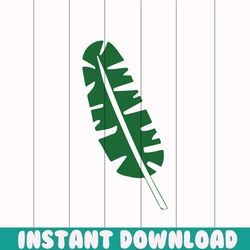 tropical leaf png, palm leaves png, palm branch png, jungle leaves png,tropical leaves png, monstera leaf svg clipart, c