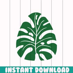 tropical leaves png, monstera leaf svg clipart, commercial use png, jungle leaves png clipart, palm branch png