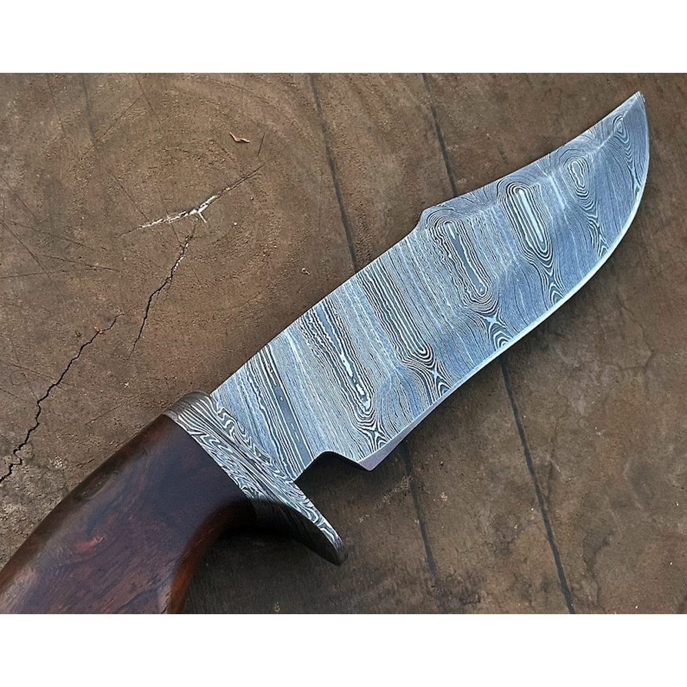 il794xN5399853958psccjpg