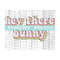 1011202316118-hey-there-bunny-png-sublimate-download-retro-happy-easter-image-1.jpg
