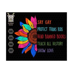 say gay svg, protect trans kids svg, read banned books svg, lgbtq gifts, pride month svg, equality symbol svg, lgbtq svg, gay pride svg