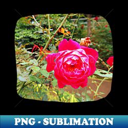 Pink flower photography - Instant Sublimation Digital Download - Capture Imagination with Every Detail