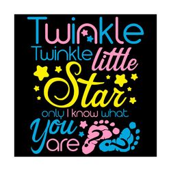 twinkle twinkle little star only i know what you are, trending svg, gender reveal svg, he or she svg, pink or blue svg,
