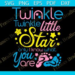 twinkle twinkle little star only i know what you are, trending svg, gender reveal svg, he or she svg, pink or blue svg,