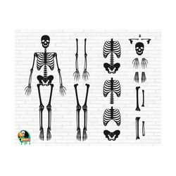 skeleton parts svg, skeleton bones svg, body parts svg, skeleton parts front cut files, cricut, silhouette, png, svg, eps, dxf