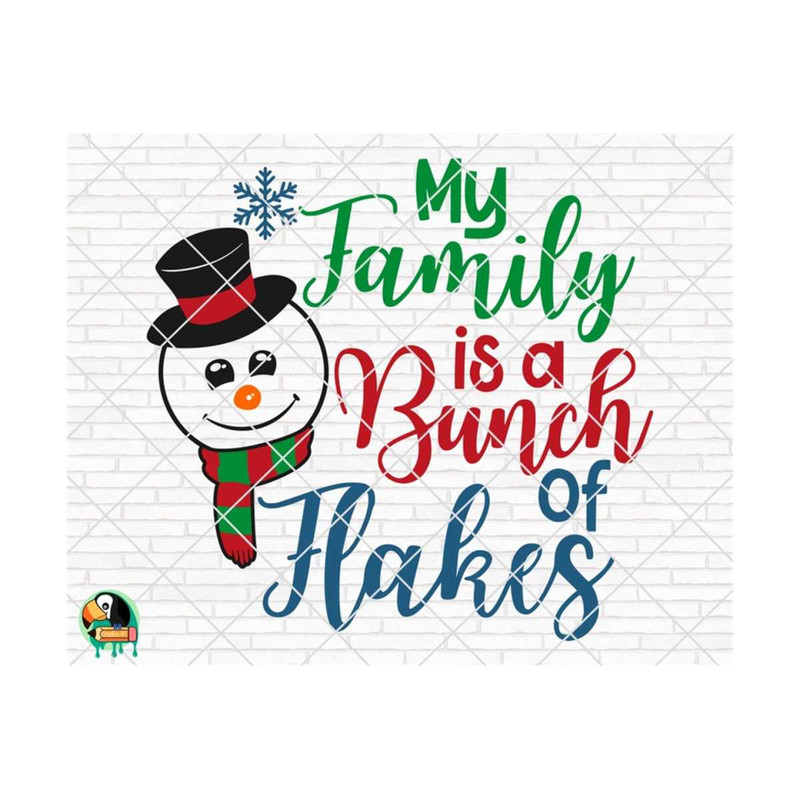 1111202382018-my-family-is-a-bunch-of-flakes-svg-winter-svg-winter-quotes-image-1.jpg
