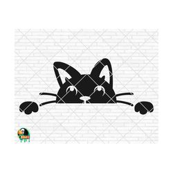 peeking cat svg, cat lovers svg, peeking cat cut files, cricut, silhouette, png, svg, eps, dxf