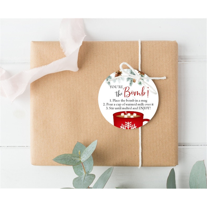 MR-1111202384439-hot-chocolate-bomb-tags-hot-cocoa-bomb-instructions-favor-tag-image-1.jpg