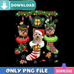 yorkie in socks png best files design download