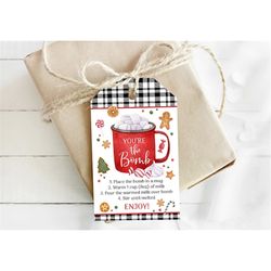 Hot Cocoa Bomb Tags, Hot Chocolate Bomb Instructions Favor Tag Hot Chocolate Bomb Stickers Cookies and Cocoa Christmas Y