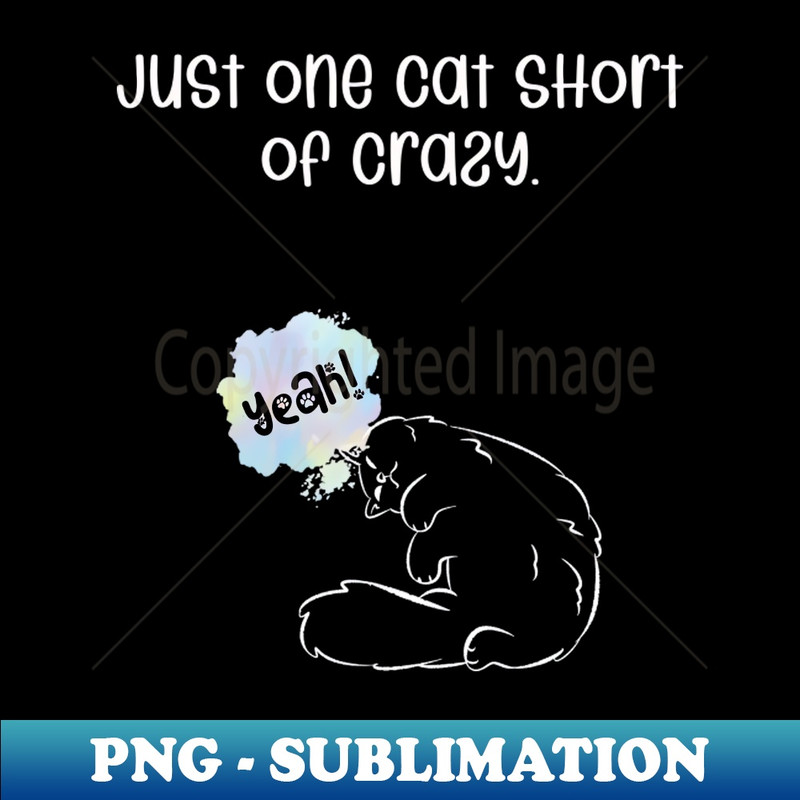 AI-20231111-18219_Just one cat short of crazy 8544.jpg