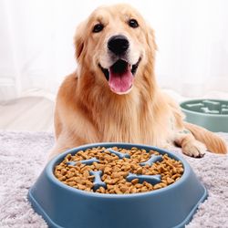 Pet Slow Food Bowl Anti-choking Feeder Plastic Dish Bowl Home Dog Eating Plate Anti-gulping Feeding Supplies Dogs Cats