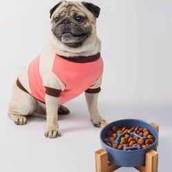 dog slow feeder bowl ceramic with wooden stand for small medium large breed, puppy for fast eater to slow down eating