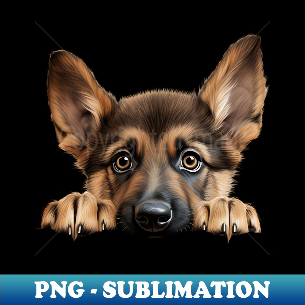 BR-20231111-24351_Peeking German Shepherd 9528.jpg