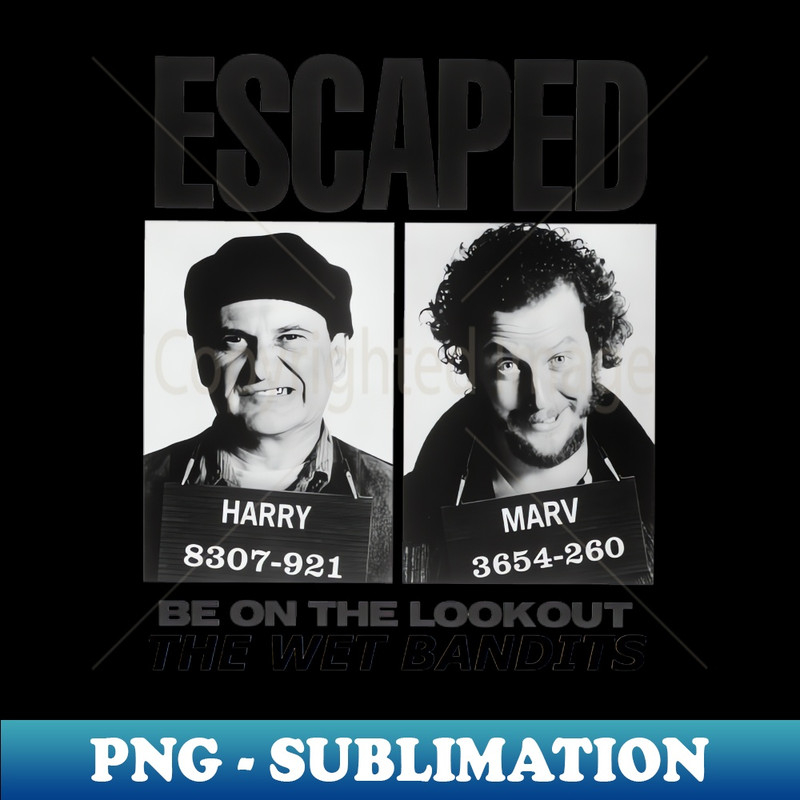 BR-20231111-32162_The Wet Bandits 6965.jpg